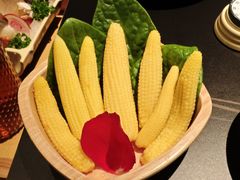 -季季山•云南野生菌火锅(上海首店)