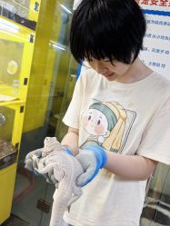 -神奇动物撸宠馆·羊驼·小浣熊·异宠(豫园店)