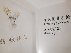 -蚂蚁造型俱乐部