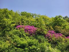 -宜兴龙背山森林公园