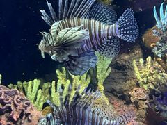 -上海海洋水族馆