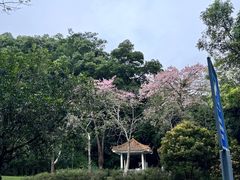 -火炉山森林公园