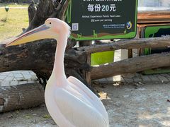 -南京金牛湖风景区