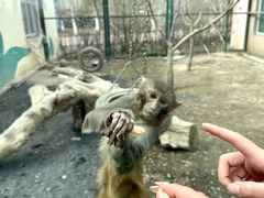 -水上乐园·欢乐世界