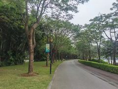 -顺峰山公园