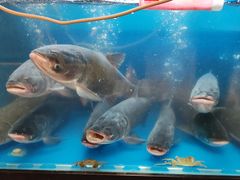 -聚鑫阁江浙菜·非遗传承技艺(闵行交大店)