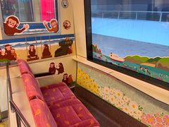 -伊豆观海列车