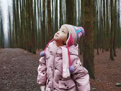 -山王坪喀斯特国家生态公园