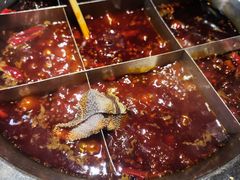微微辣红汤锅底-大龙火锅(老店)