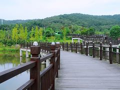 -石塘人家