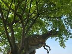 -自贡恐龙博物馆