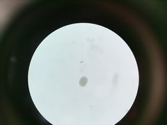 -佳雯宠物医院(四明中路分院)