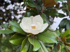 -河南省黄河迎宾馆