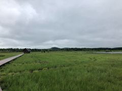 -御道口草原森林风景区