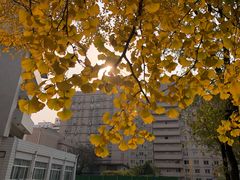 -廣味潮鲜·一品潮滋味(五道口店)