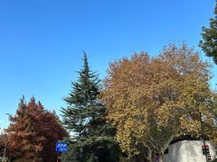 -胡雪岩故居