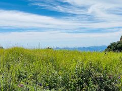 -白草畔自然风景区