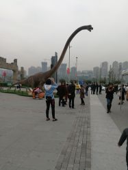 -恐龙探索乐园(磁器口店)