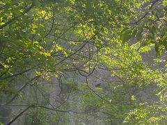 -秦岭终南山世界地质公园翠华山景区