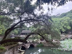 -忠山公园