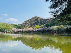 -星湖旅游景区七星岩
