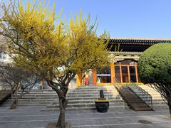 -西宁市东关清真大寺