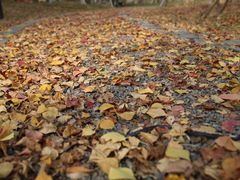 -艾山风景名胜区