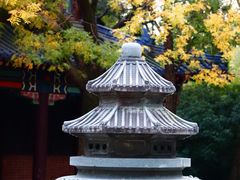-灵谷景区