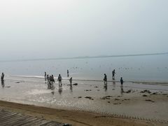 -金梦海湾浴场