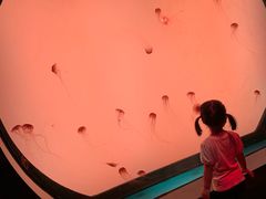 -沈阳海洋探索中心