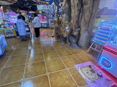 -嗨翻Hi-Fun竞技主题乐园·蹦床亲子生日轰趴(国光1937店)