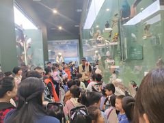 -国家自然博物馆