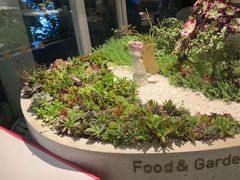 -春树下·树屋花房西餐厅(罍街AS1980店)