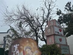 -茶颜悦色(岳麓山顶店)