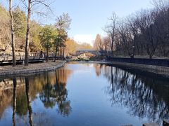 -白水寺森林公园