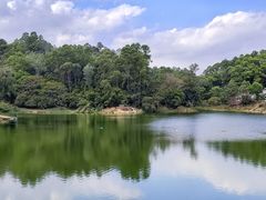 -火炉山森林公园