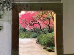 -岳王庙