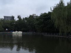 -莲湖公园