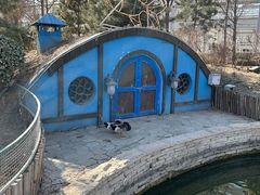 -南宫五洲植物乐园