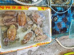 -霞涌市场海鲜摆卖区