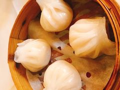 水晶虾饺-潮福城大酒楼(二环东路店)