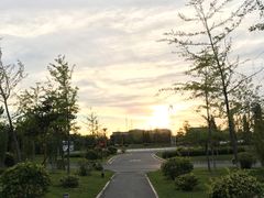 -中家鑫园温泉酒店-自助餐