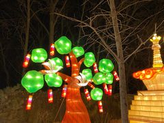 -南宫五洲植物乐园