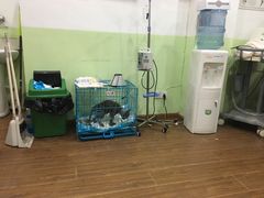 -守诺宠物医院·眼科· 特色牙科·异宠专科(虹口店)