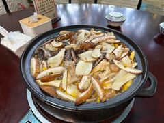 -蘑统田下·野生菌火锅
