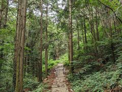 -素山寺森林公园