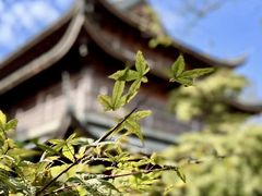 -龙华寺