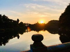 -庐山风景区花径公园