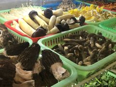 -野菌园·野生菌火锅首创第一家(关兴路总店)