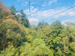 -紫金山索道-售票处